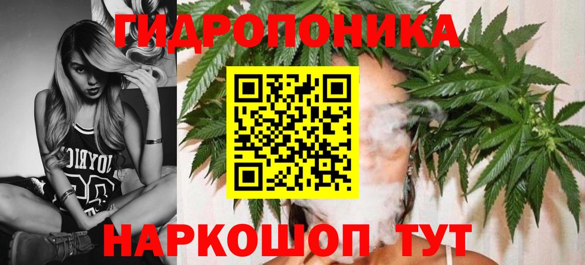 Конопля марихуана Коммунар